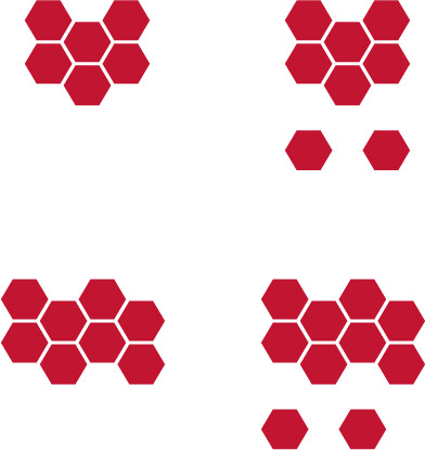 Hexagon-Models-Logo